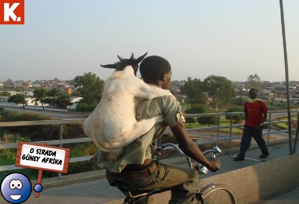 "O sırada ülkeler" capsleri 19