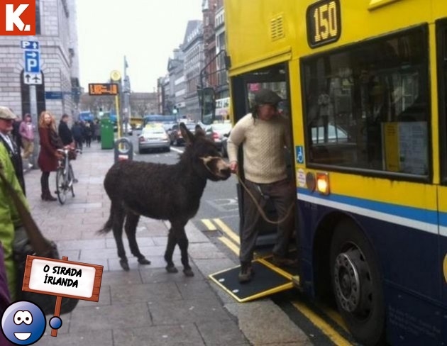 "O sırada ülkeler" capsleri 22