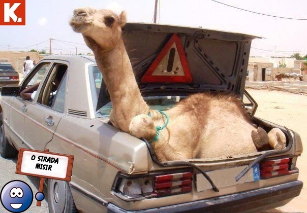 "O sırada ülkeler" capsleri 3