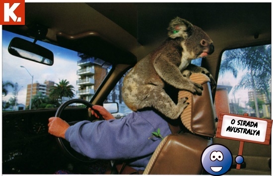 "O sırada ülkeler" capsleri 4