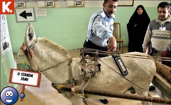 "O sırada ülkeler" capsleri 6