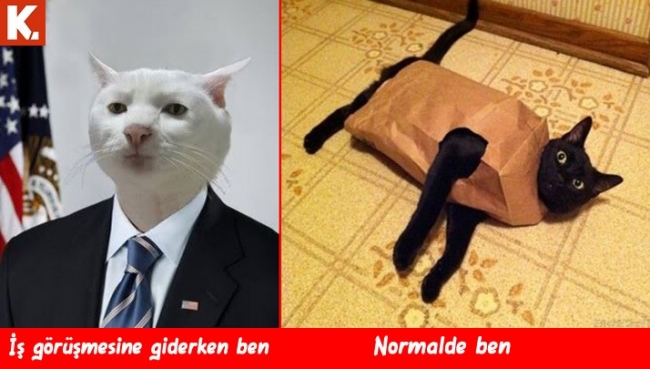 Karın kası yaptıran capsler 1