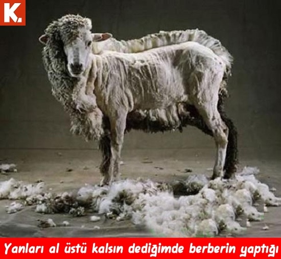 Karın kası yaptıran capsler 10