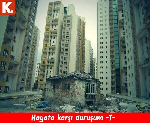 Karın kası yaptıran capsler 20