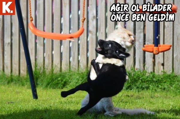 Karın kası yaptıran capsler 4