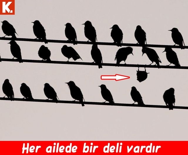 Güldüren capsler 7