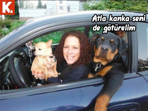 Güldüren capsler 6