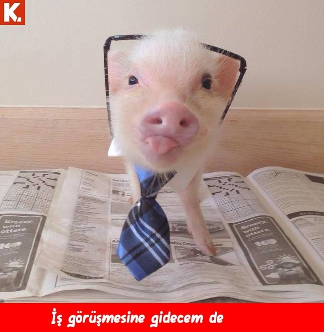 Güldüren capsler 10