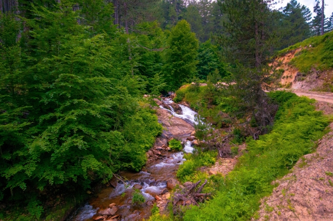 İç Ege'de yayla mevsimi başladı 7