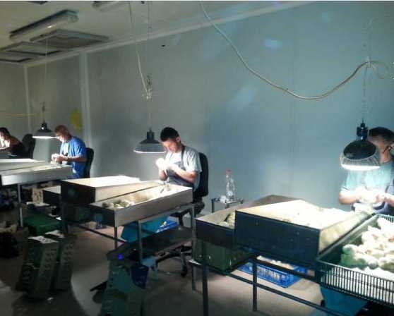 Bu mesleği yapanlar 12 bin TL kazanıyor 4