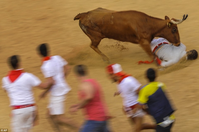 Selfie canından etti 2