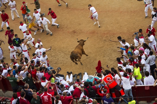 Selfie canından etti 5