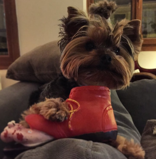 Instagram'da Ünlüler 14