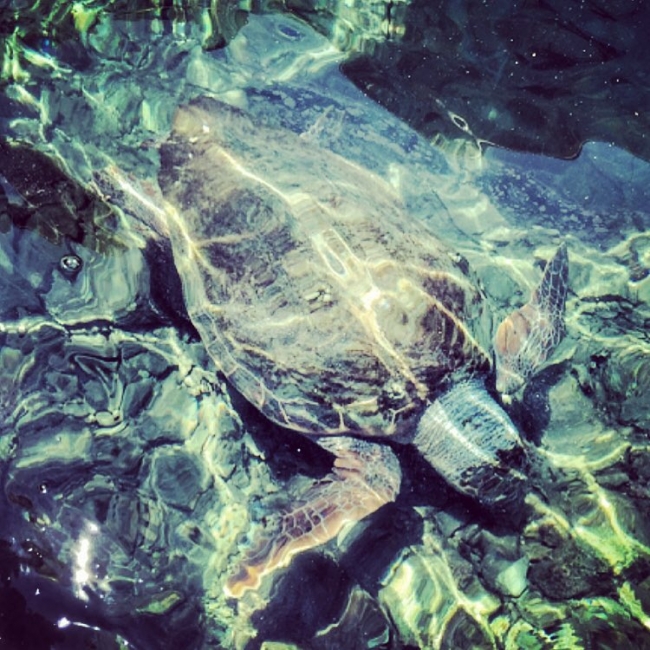 Instagram'da ünlüler: Ramazan Bayramı 13