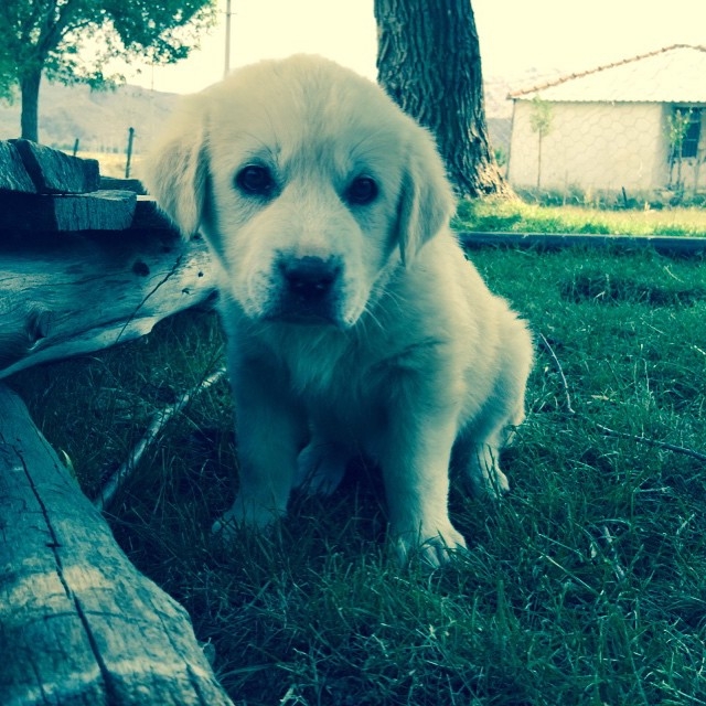 Instagram'da ünlüler: Ramazan Bayramı 19