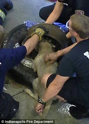 Böyle bulundu, itfaiye bile kurtaramadı 6