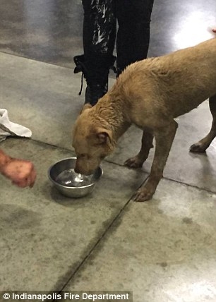 Böyle bulundu, itfaiye bile kurtaramadı 7