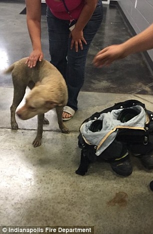 Böyle bulundu, itfaiye bile kurtaramadı 8