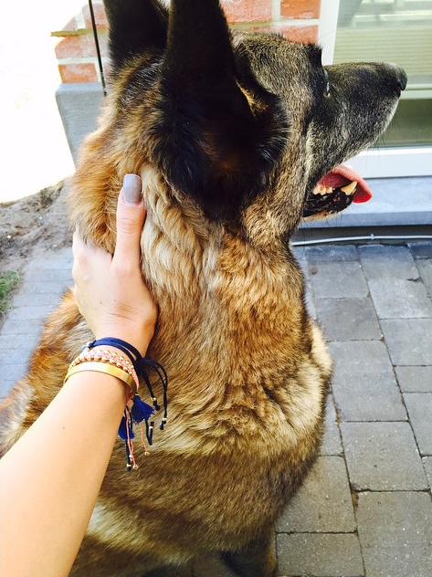 Instagram'da Ünlüler 16