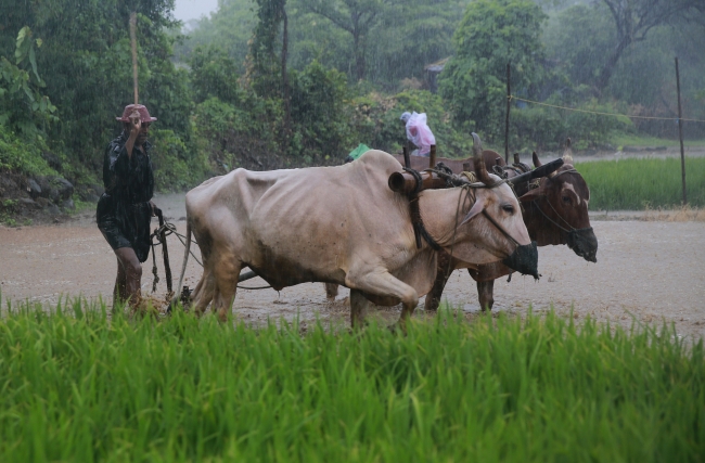 Muson yağmurları Hindistan'ı vurdu 4