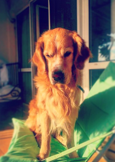 Instagram'da Ünlüler: Tam bir doğa aşığı! 14