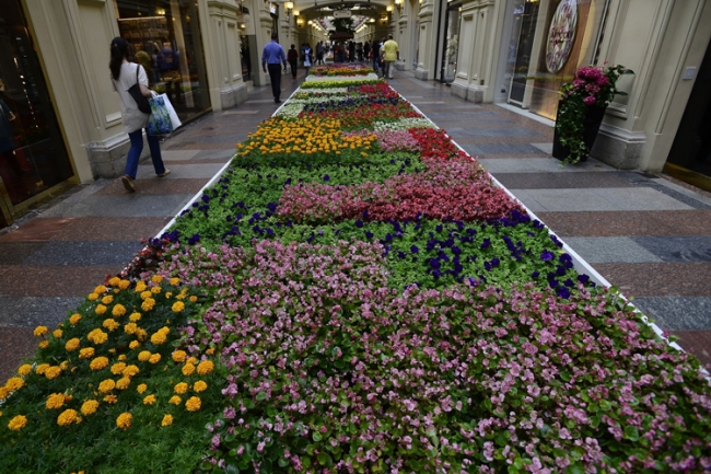 Kızıl Meydan çiçek bahçesine döndü 10