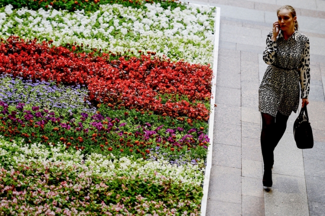 Kızıl Meydan çiçek bahçesine döndü 12