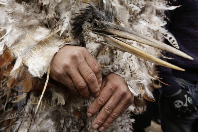 Günün fotoğrafları: Kuş olup dans ettiler! 6
