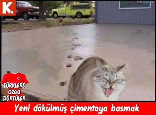 Türklere özgü dürtüler 1