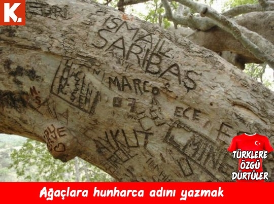 Türklere özgü dürtüler 10