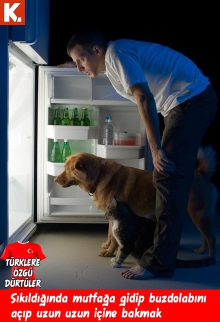 Türklere özgü dürtüler 12