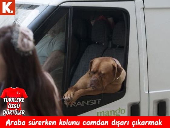 Türklere özgü dürtüler 15