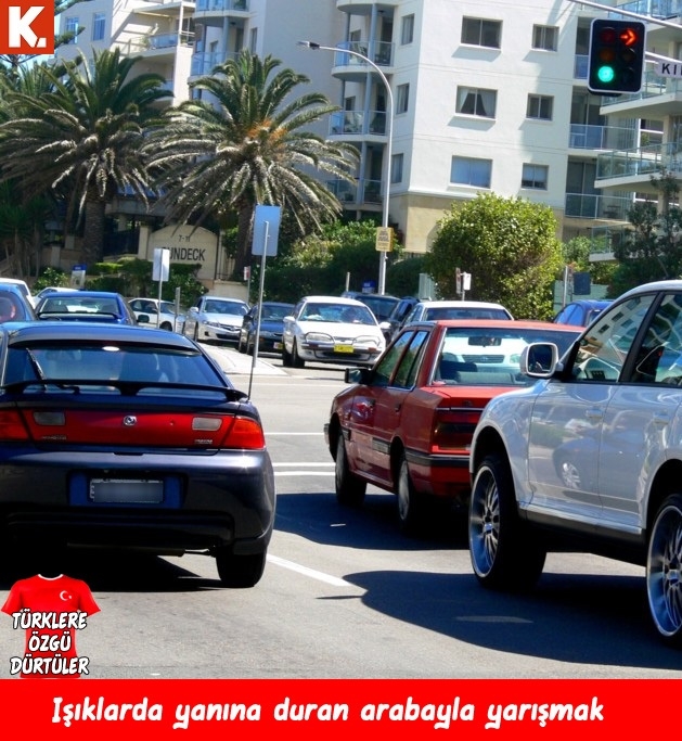 Türklere özgü dürtüler 24