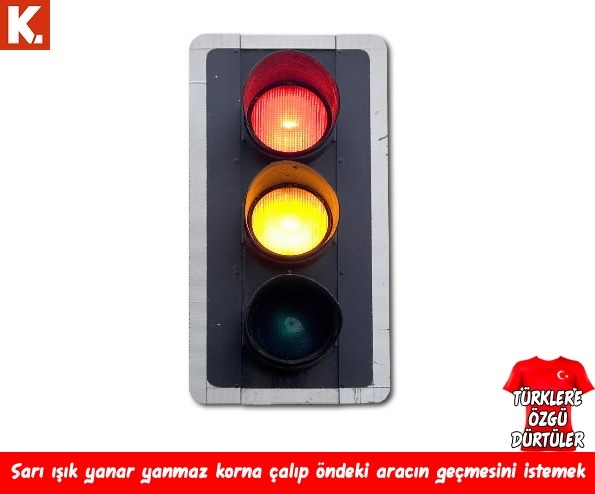 Türklere özgü dürtüler 30