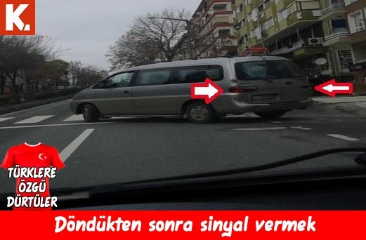 Türklere özgü dürtüler 31