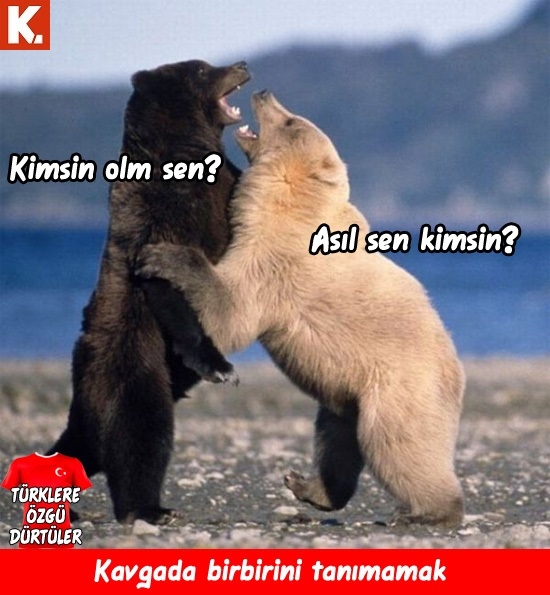 Türklere özgü dürtüler 34