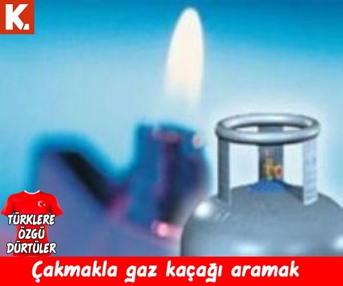 Türklere özgü dürtüler 35