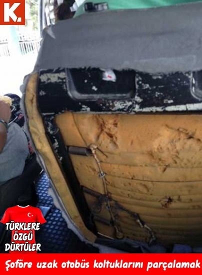 Türklere özgü dürtüler 9