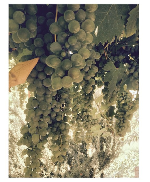 Instagram’da ünlüler: Hollywood’a doğru! 10