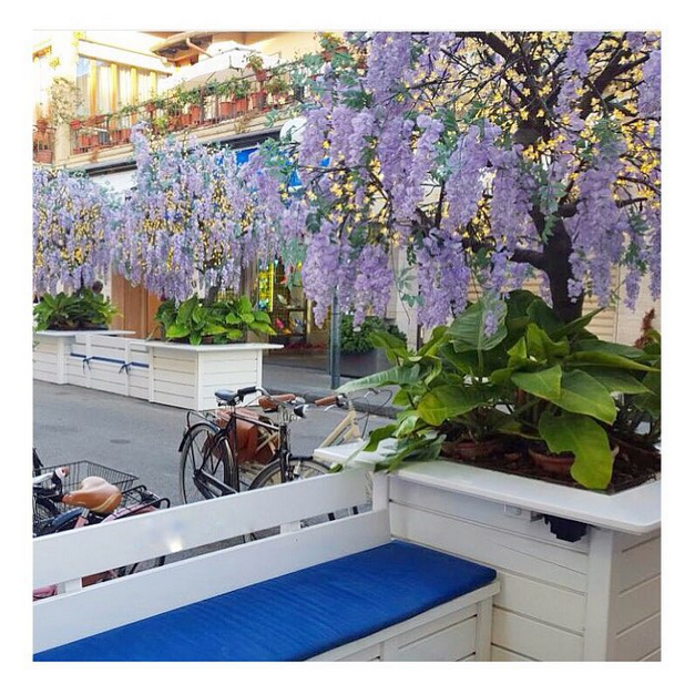 Instagram’da ünlüler: Hollywood’a doğru! 19