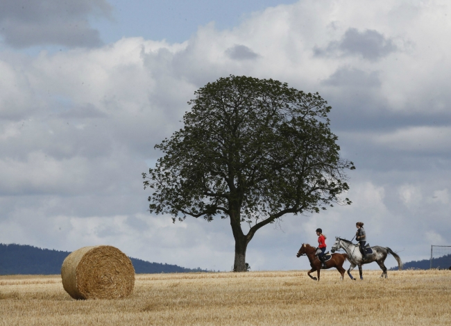 Günün kareleri: Suriye'de yer altında çocuk parkı! 8