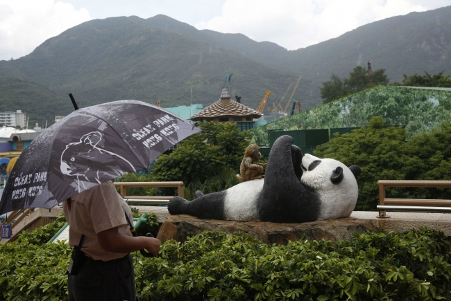 Dünya'nın en yaşlı pandası 37 yaşında! 5