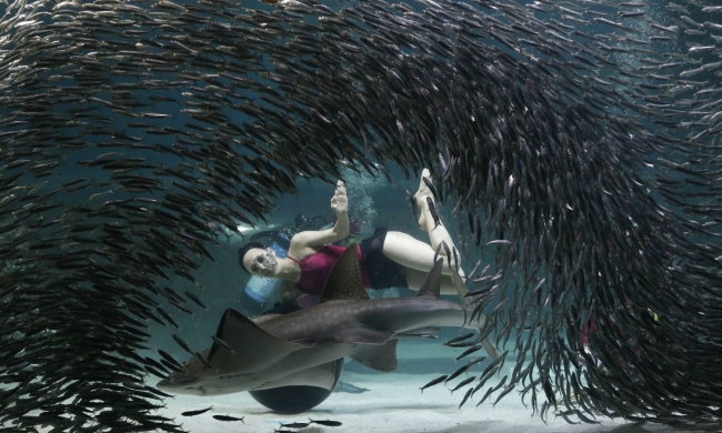 Günün kareleri: Kremlin'le caminin arasında dolunay 3