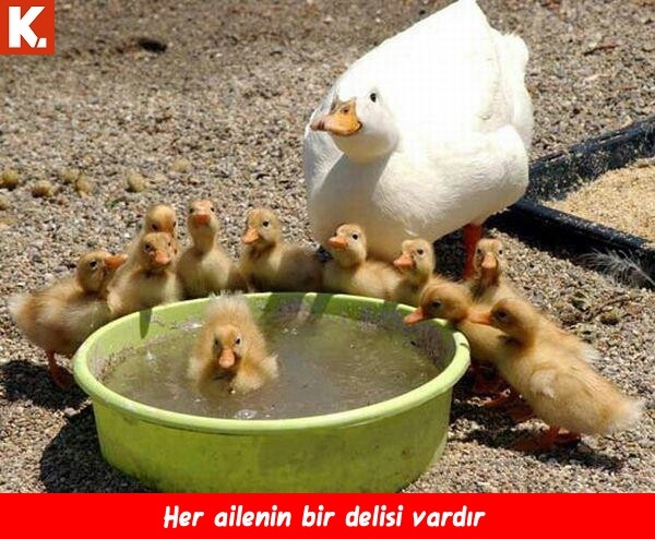 Trend olmuş capsler 12