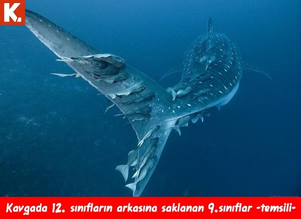 Trend olmuş capsler 17