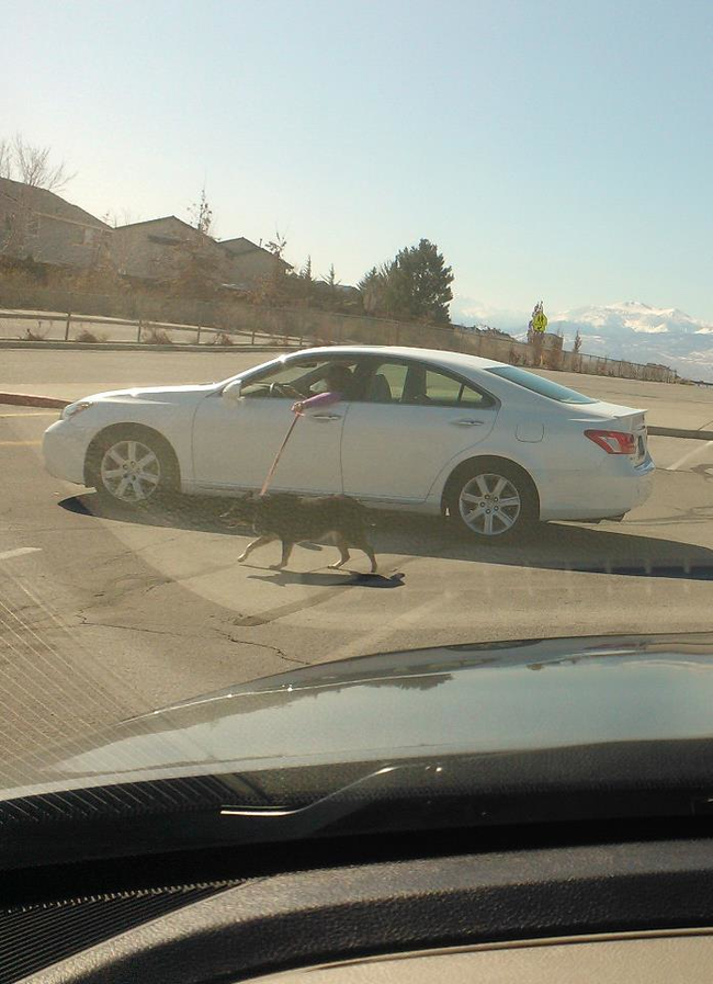 Bu insanlar zeki mi tembel mi? 2