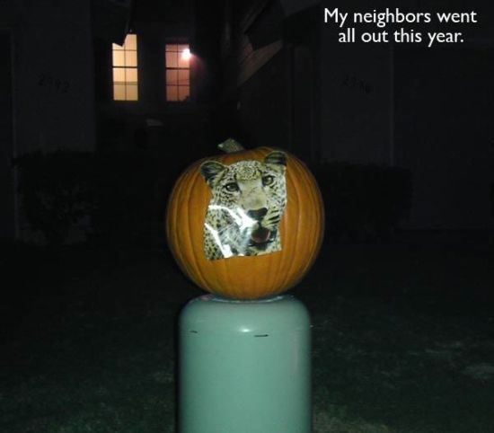 Bu insanlar zeki mi tembel mi? 4