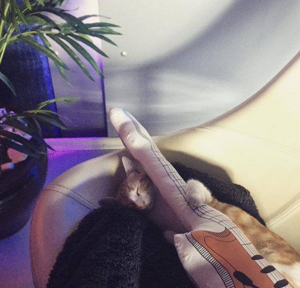 Instagram'da ünlüler: Bülent Şakrak'tan kukla şov 16