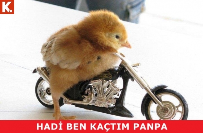 Çayın yanında tadımlık capsler 3