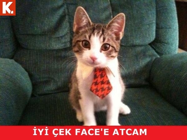 Çayın yanında tadımlık capsler 4